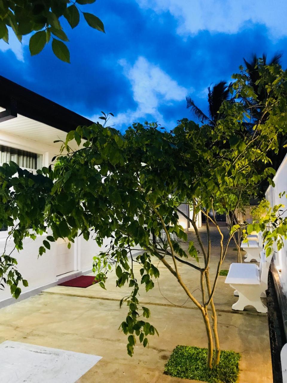 Royal White Tourist Rest Hotel Anuradhapura Kültér fotó