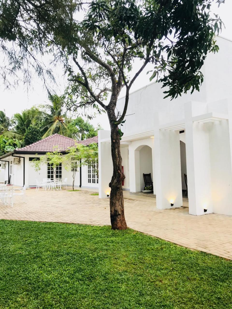 Royal White Tourist Rest Hotel Anuradhapura Kültér fotó